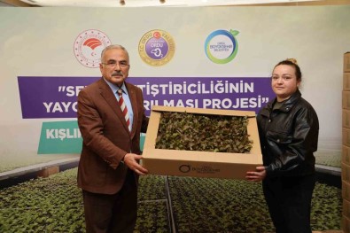 Ordu'da 4,5 Yilda 3 Milyon Sebze Fidesi Vatandaslara Dagitildi