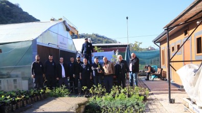 Akçaabat'ta Aronya Fideleri Çiftçilere Dagitildi