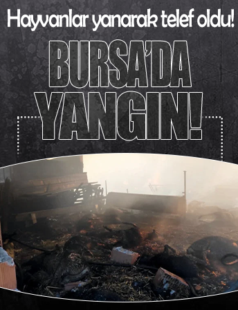 Bursa'da yangın! 44 hayvan yanarak telef oldu..