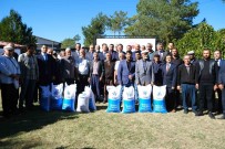 Erzincanli Çiftçilere Bugday Tohumu Dagitildi