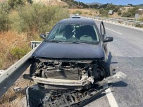 Köpege Çarpmamak Için Canindan Oluyordu