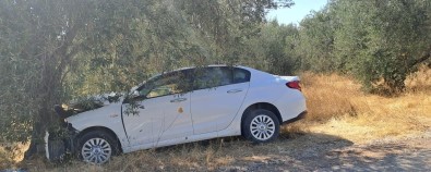 Çanakkale'de Otomobil Zeytin Agacina Çarpti Açiklamasi 1 Ölü, 1 Yarali