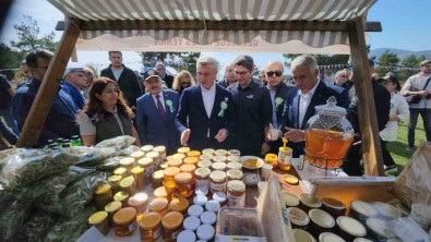 Safran Festivali Etkinlikleri Tamamlandi