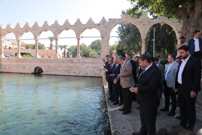 TBMM Baskanvekili Bozdag Baliklara Yem Atti