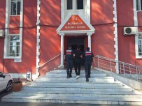 Bozdogan'da 85 Bin Liralik Incir Çaldi, Jandarmaya Yakalandi