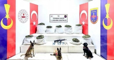 Diyarbakır'da 364 kilo 500 gram esrar, 150 bin kök skunk ele geçirildi