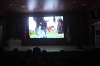 Uluslararasi Göbeklitepe Kisa Film Festivali'ne 79 Ülkeden 953 Film Katildi