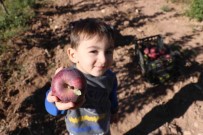 Yapilamaz Denileni Yapti, 4 Yilin Ardindan Hasada Basladi