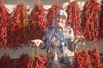 155 Yildir Ayni Tohumdan Aci Kirmizibiber Üretiyorlar