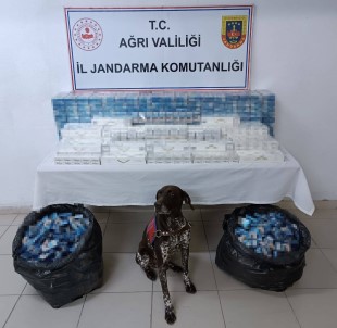 Agri'da 3 Tirda Kaçak Akaryakit Ve Sigara Ele Geçirildi