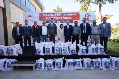 Denizli'de 1460 Üreticiye 146 Ton Macar Figi Tohumu Dagitiliyor