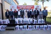 Denizli'de 1460 Üreticiye 146 Ton Macar Figi Tohumu Dagitiliyor
