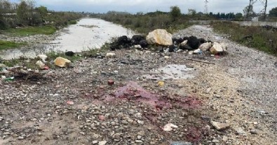 Düzce'de kanlı dehşet: 15 yerinden bıçaklayıp rehin aldı!