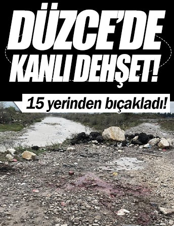 Düzce'de kanlı dehşet: 15 yerinden bıçaklayıp rehin aldı!