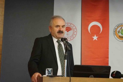 Ormanda Yetisen Kestaneden 50 Milyar Lira Gelir Elde Edilmesi Hedefleniyor