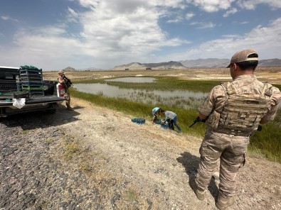 Agri'da Kurbaga Avcilarina Rekor Ceza