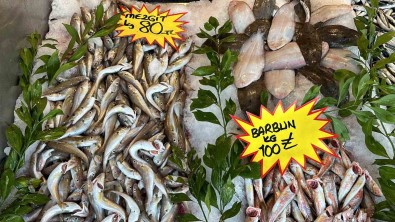 150 Liraya Kadar Çikan Hamsi, 50 Liraya Düstü