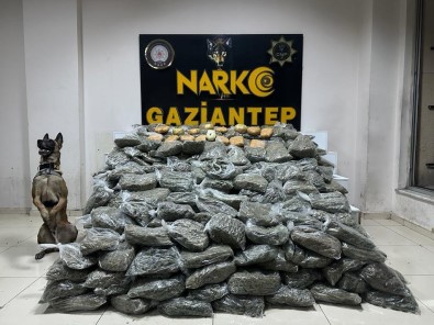 Gaziantep'te 170 Kilogram Skunk Ele Geçirildi