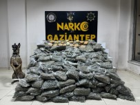Gaziantep'te 170 Kilogram Skunk Ele Geçirildi