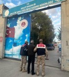 Van'da 54 Kaçak Göçmen Yakalandi