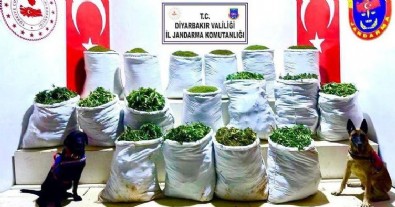 Diyarbakır'da uyuşturucu operasyonu