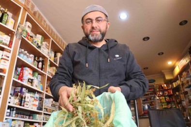 Öksürük, Grip, Bogaz Agrisi Gibi Sikayeti Olanlar Solugu Aktarda Aliyor