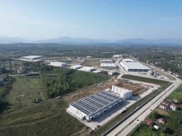 Dogan Açiklamasi 'Çarsamba, OSB Ile Istihdamin Adresi Oluyor'