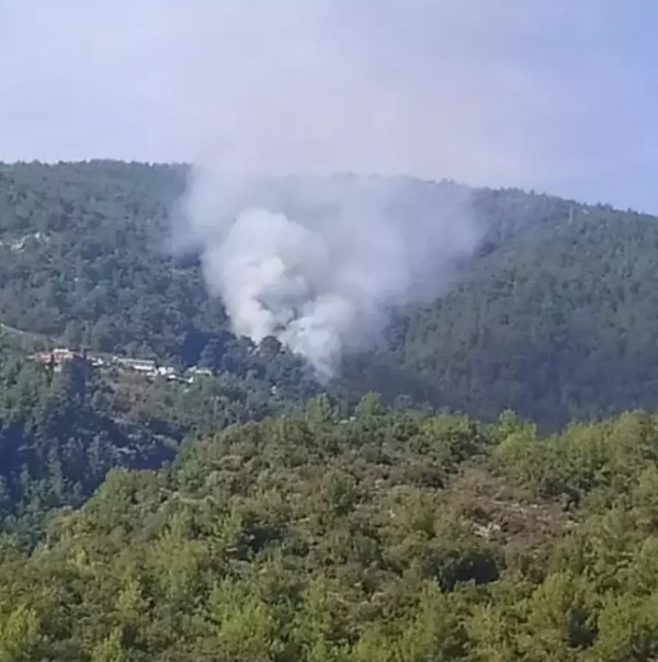 Antalya'da orman yangını! Müdahale sürüyor