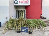 Adana'da Torbaci Operasyonu Açiklamasi 2 Kisi Tutuklandi