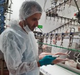 Bolu'da Beyaz Et Üretim Tesislerine Denetim