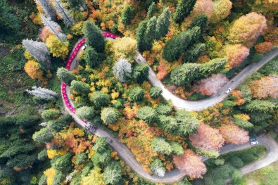 Cumhuriyetin 100. Yilinda 100 Metrelik Bayrakla Örümcek Ormanlari'nda Yürüdüler