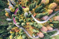 Cumhuriyetin 100. Yilinda 100 Metrelik Bayrakla Örümcek Ormanlari'nda Yürüdüler