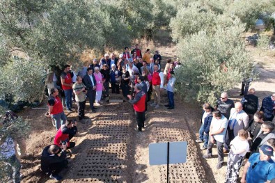 Genç Çiftçiler, Salep Üretimini Sevdi