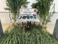 Jandarma Uyusturucu Ile Mücadeleye Devam Ediyor