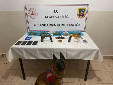 Hatay'da Bir Araçta Yapilan Aramada;2 Tabanca Ve 1 Kilo 250 Gram Esrar Ele Geçirildi