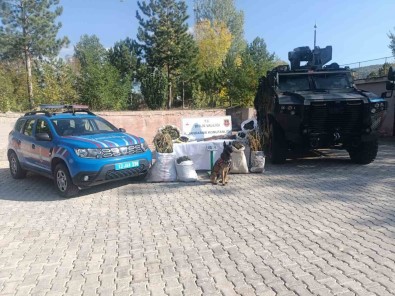 Bitlis'te 28 Kilo 560 Gram Kubar Esrar Ve 2 Kilo 380 Gram Esrar Tohumu Ele Geçirildi