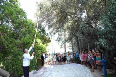 Geleneksel Sea Garden Hasat Günleri'nin 5'Incisi Gerçeklestirildi