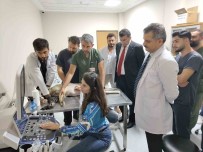 Siirt'te 6 Ayda 153 Yaban Hayvani Tedavi Edilerek Yasam Alanlarina Birakildi