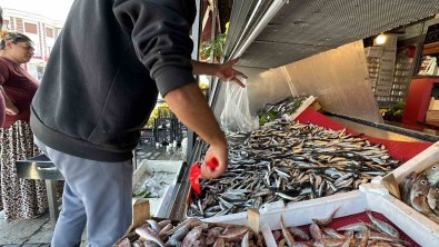 Tezgahlarda Hamsi Bollugu