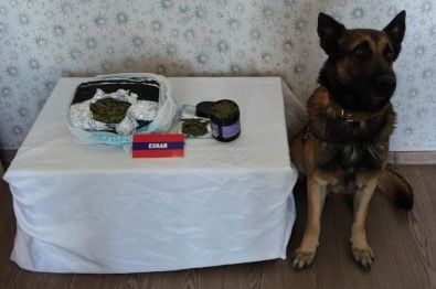 Üzerinden Uyusturucu Çikan Yolcu Gözaltina Alindi