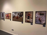 'Yerkürenin Renkleri Adnan Büyükdeniz'e Vefa' Fotograf Sergisi, Çamlica'da Ziyarete Açildi