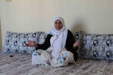 Asirlik Çinar Kumri Nine, Cumhuriyet'in 100'Üncü Yilina Sahitlik Ediyor