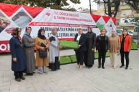 350 Bin Marul Fidesi Dagitildi