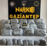 Gaziantep'te 78 Kilogram Skunk Ele Geçirildi Açiklamasi 1 Sahis Tutuklandi