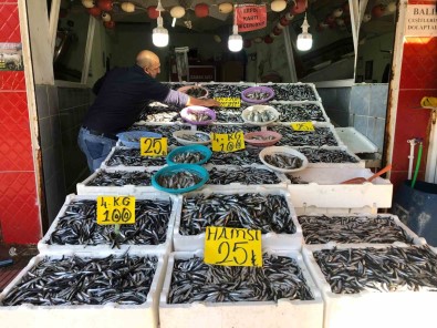 Hamside Kampanya Yapti Açiklamasi 18 Kiloluk Hamsi Kasasini 250 TL'den Satisa Çikardi