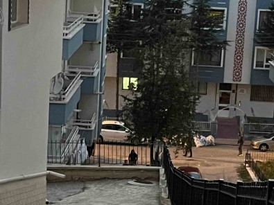 Annesini Biçakla Öldürdükten Sonra Intihar Etti