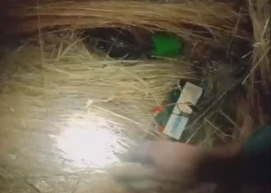 Konya'da Bildircin Sesi Ile Avlanmaya Ceza