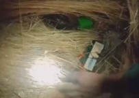 Konya'da Bildircin Sesi Ile Avlanmaya Ceza