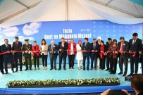 Tuzla’daki 'Perili Köşk', tarihi ve kültürel bir müzeye dönüştü