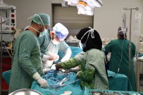 Yasli Kadinin Karnindan Portakal Büyüklügünde Kitle Çikarildi